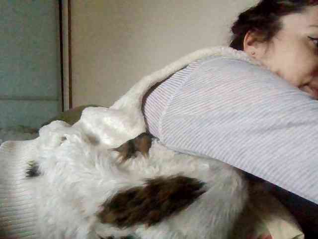 lily133 webcam