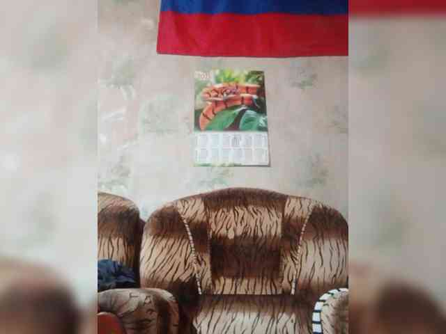 Calibriya webcam