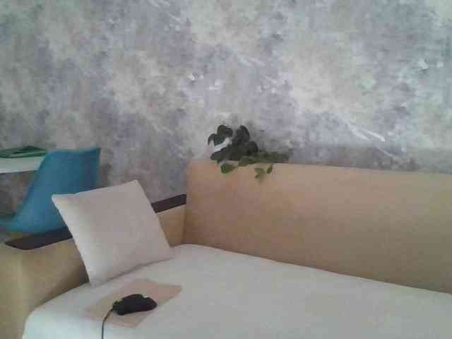 _I_123 webcam