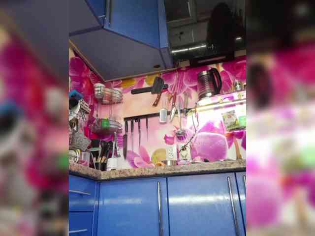 MS-86 webcam