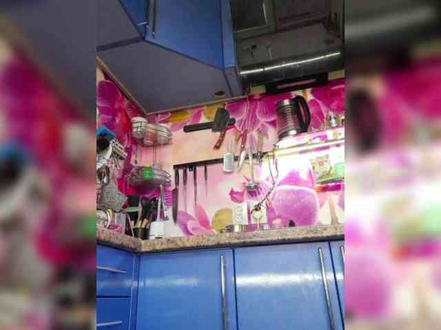 MS-86 webcam