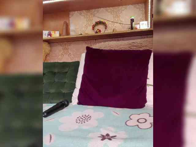 MS-86 webcam