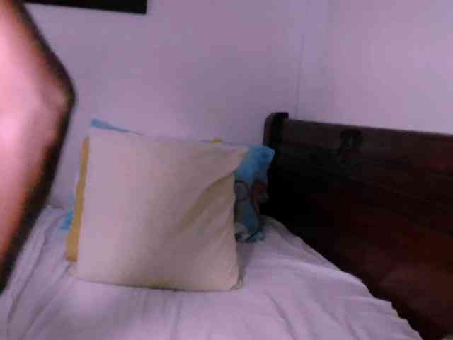 Lucypalmax webcam