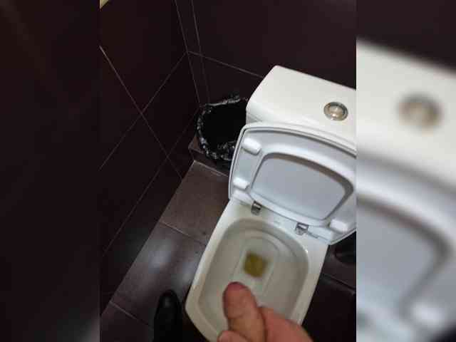 Segrsekss