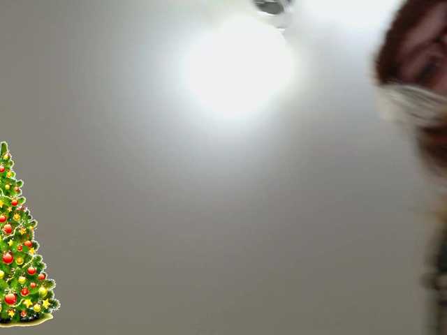 go to chat with MISTRESS-FOX