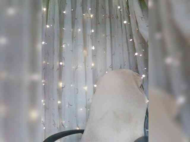 -Ramona- webcam
