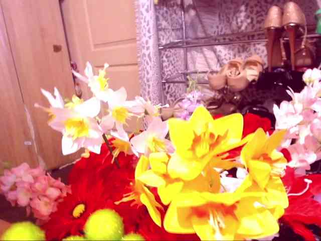 SpecialCerise webcam