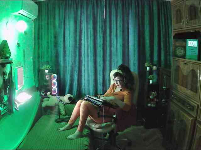 Infodar webcam