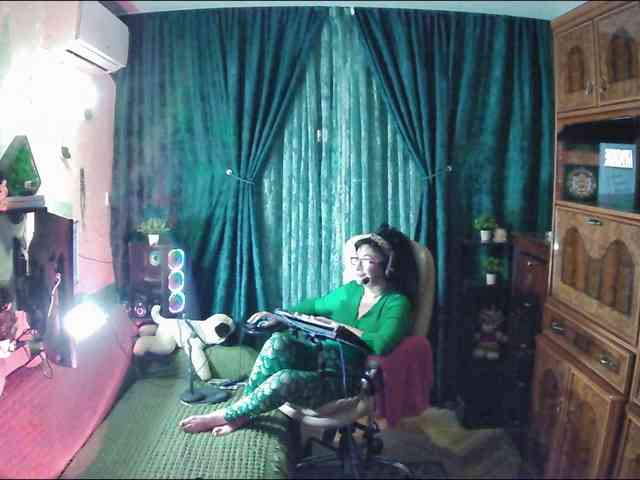 Infodar webcam
