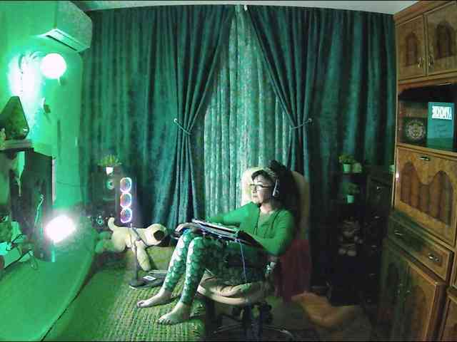 Infodar webcam
