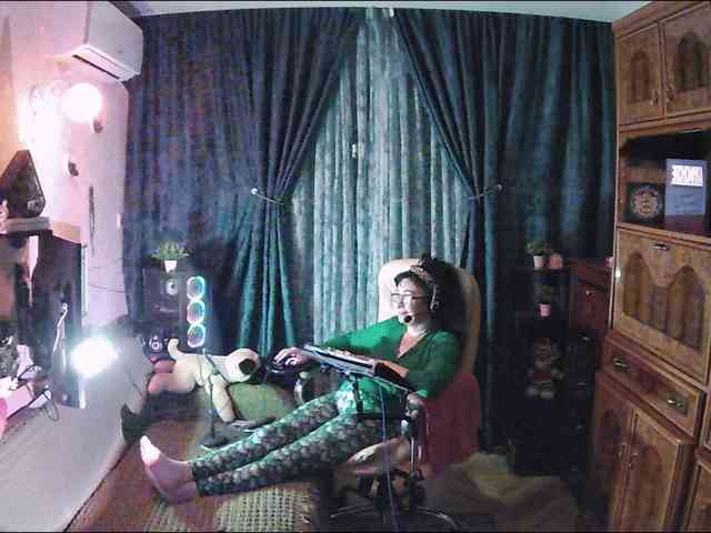 Infodar webcam