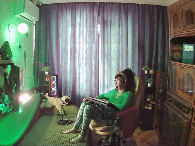 Infodar webcam