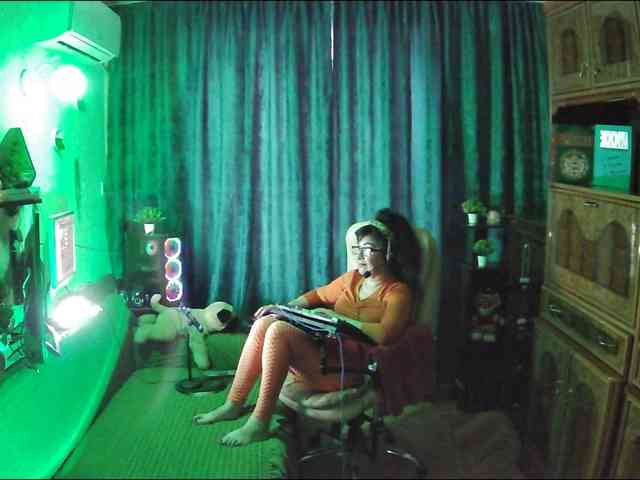 Infodar webcam
