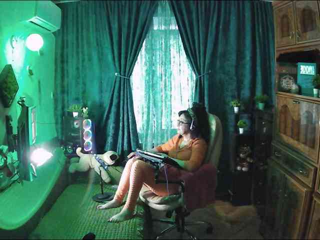 Infodar webcam