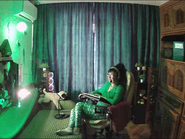 Infodar webcam