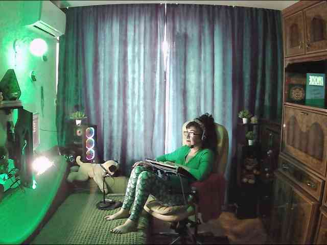 Infodar webcam