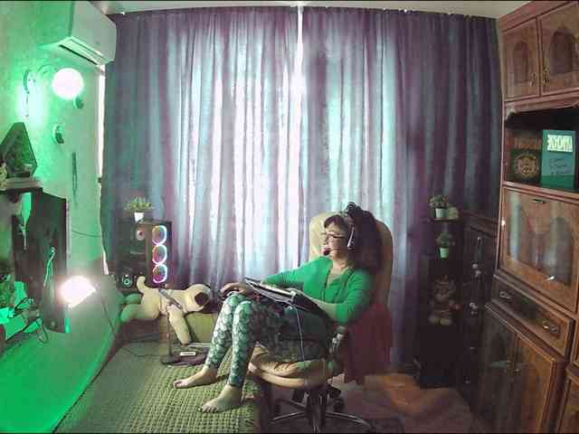 Infodar webcam