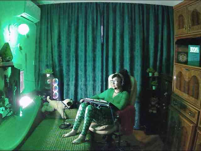 Infodar webcam