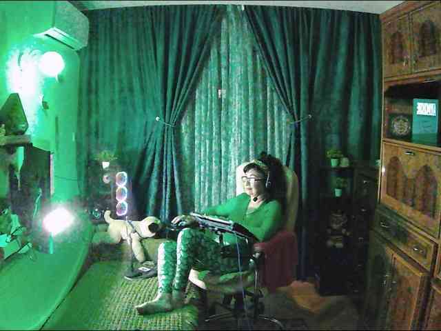 Infodar webcam