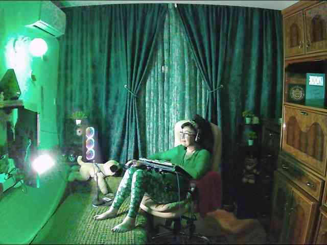 Infodar webcam