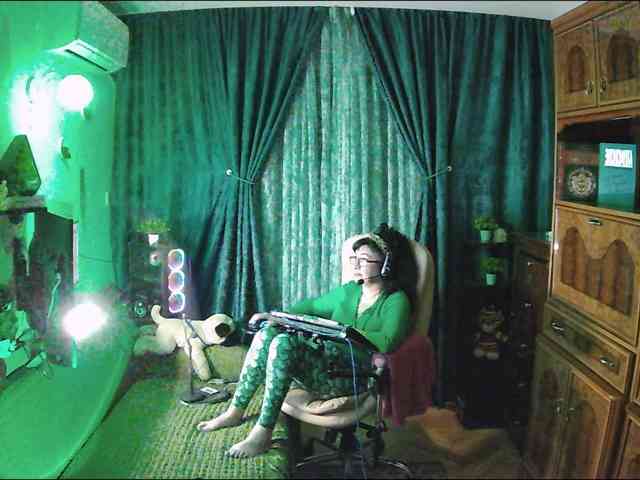 Infodar webcam
