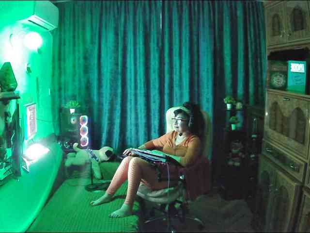 Infodar webcam