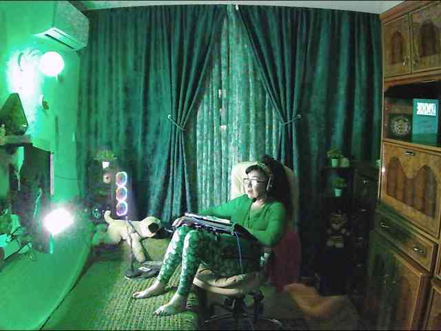 Infodar webcam
