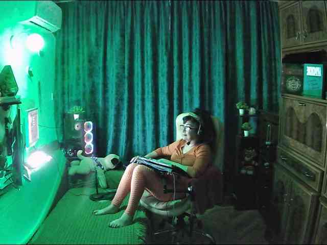 Infodar webcam