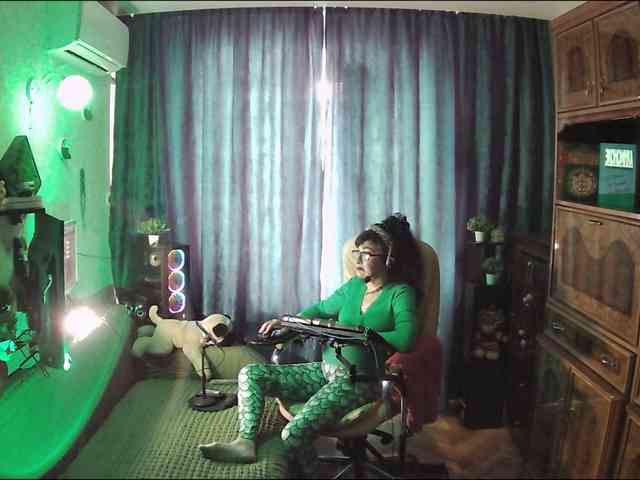 Infodar webcam