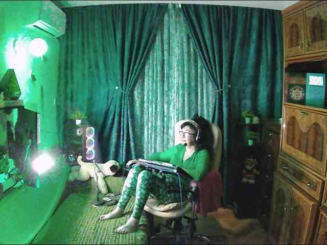 Infodar webcam