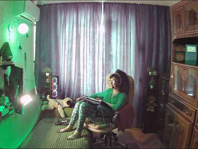 Infodar webcam