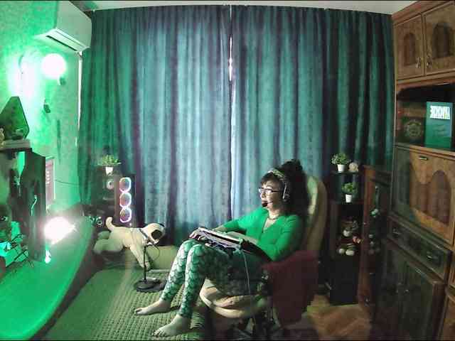 Infodar webcam