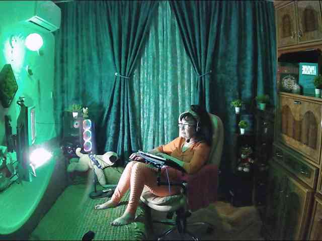 Infodar webcam