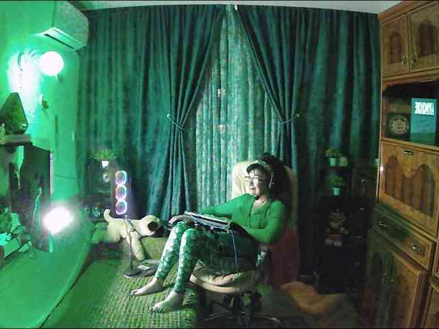 Infodar webcam