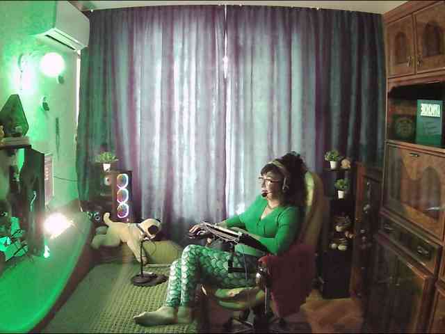 Infodar webcam