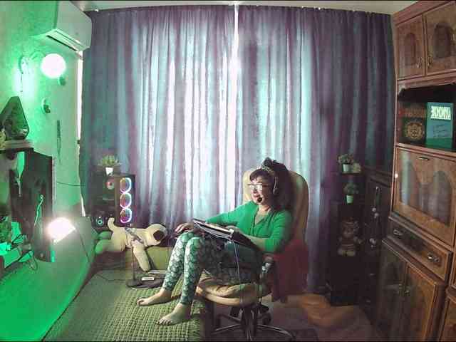 Infodar webcam
