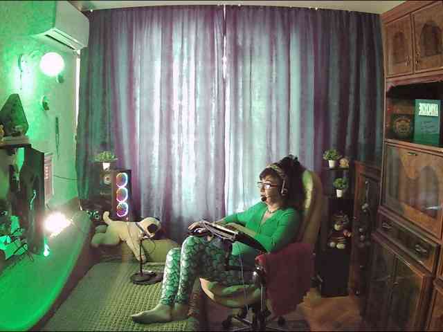 Infodar webcam