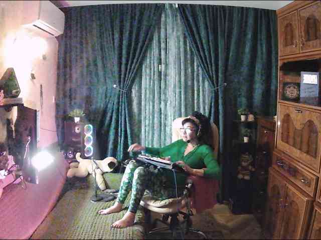 Infodar webcam