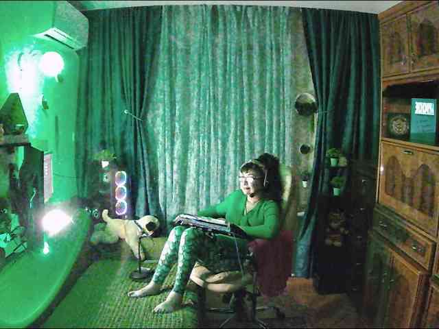 Infodar webcam