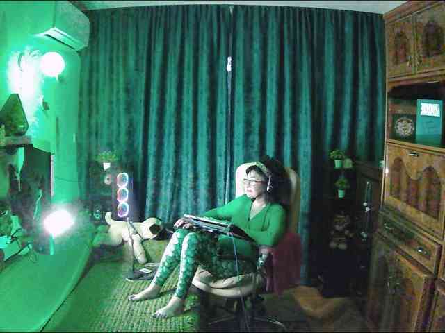 Infodar webcam