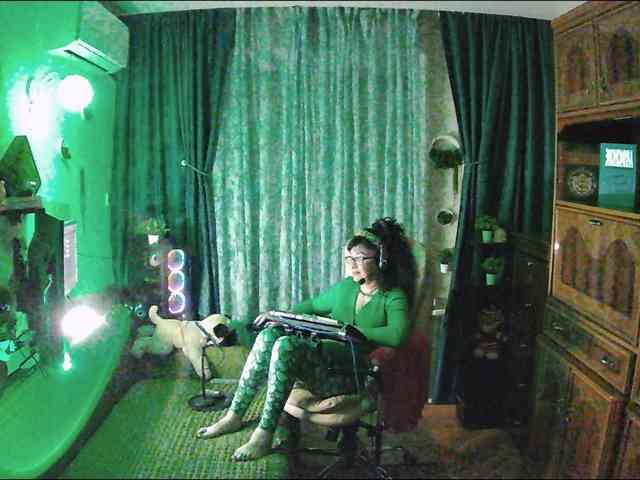 Infodar webcam