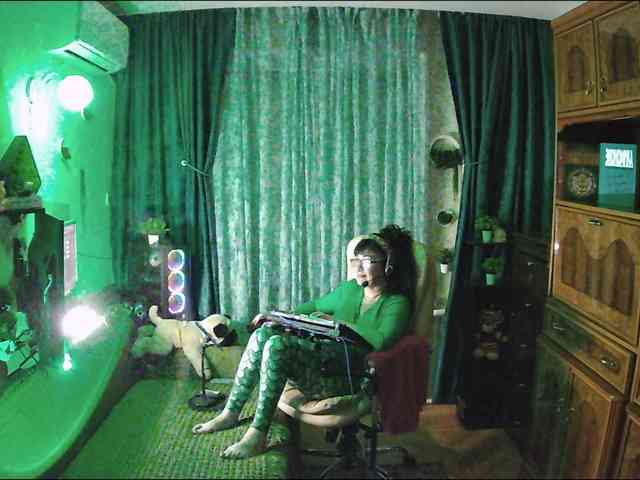 Infodar webcam