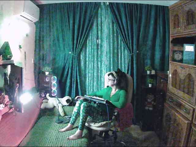 Infodar webcam