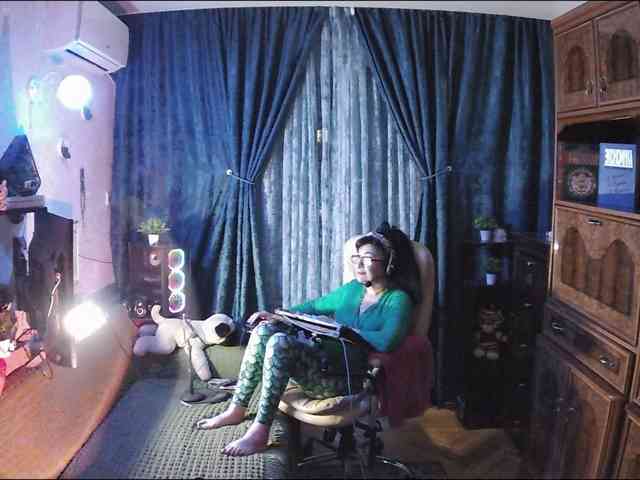 Infodar webcam
