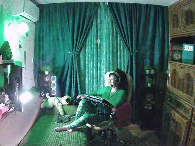 Infodar webcam