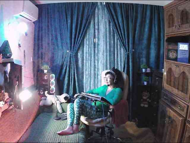 Infodar webcam