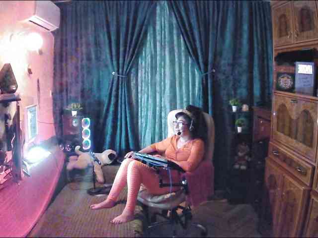 Infodar webcam