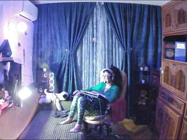 Infodar webcam