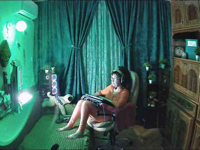 Infodar webcam