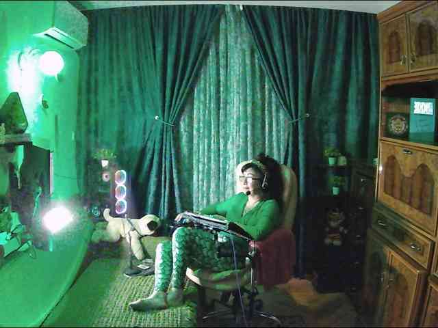 Infodar webcam